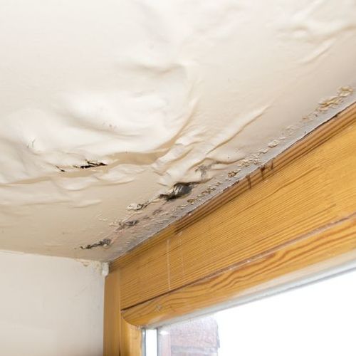 Peeling or bubbling ceiling paint indicates your roof may be leaking.