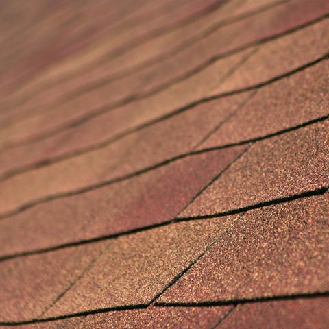 warping shingles