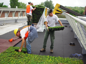 Green Roofing